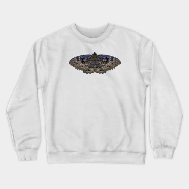 Walkers Owl Moth Crewneck Sweatshirt by InsecTees by Dom Lever